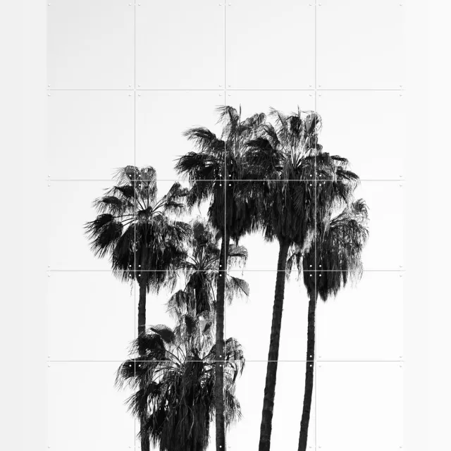 IXXI Palms in the Wind, Henrike Schenk - 80 x 100 cm - Grote wanddecoratie en posters - Fotografie, Minimalisme, Woonkamer, Gang, Slaapkamer, Natuur Monochroom / Zwart en wit / Zwart
