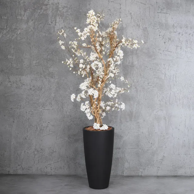 Seta Fiori Kunstbloesemboom Crème Wit 150 cm - Handgemaakt in Nederland - Echte Houten Stam - Luchtige Sakura Kersenbloesem voor Binnen