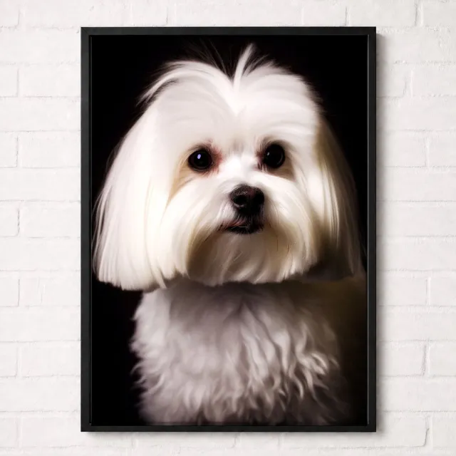 Kleurmedia Maltezer Hond Poster - Huisdieren Collectie - Dieren Posters - A2+ 43,2 x 61 cm Wit