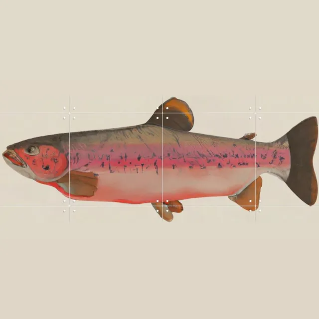 IXXI Fishy, Interiorisla - 80 x 60 cm - Grote wanddecoratie en posters - Illustraties, Keuken, Strandhuis, Woonkamer, Eetkamer, Vissen, Dieren Rood / Roze