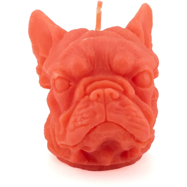 homebound by ky Kaars bulldog oranje