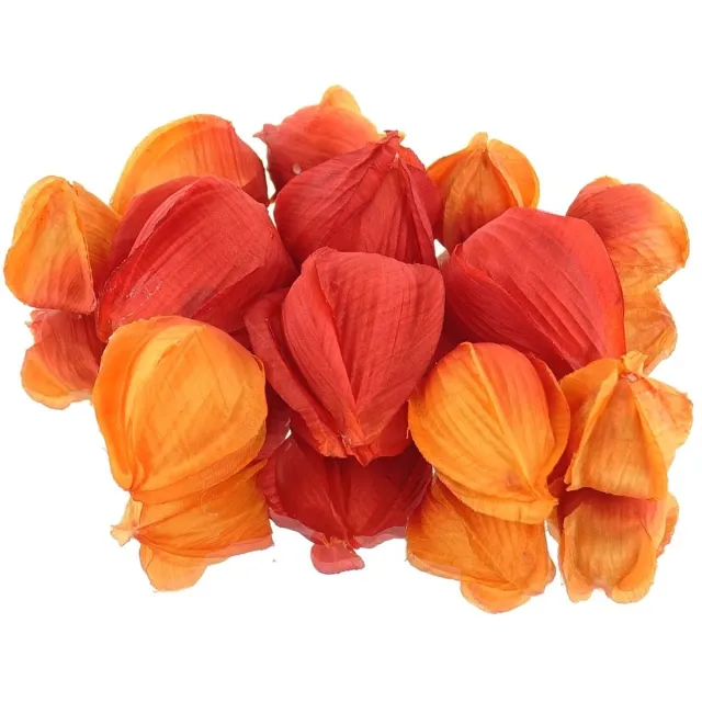 DPI GmbH DPI Lampionplant Physalis Vruchten Oranje Ø 3 tot 5 cm - Kunstbloemen
