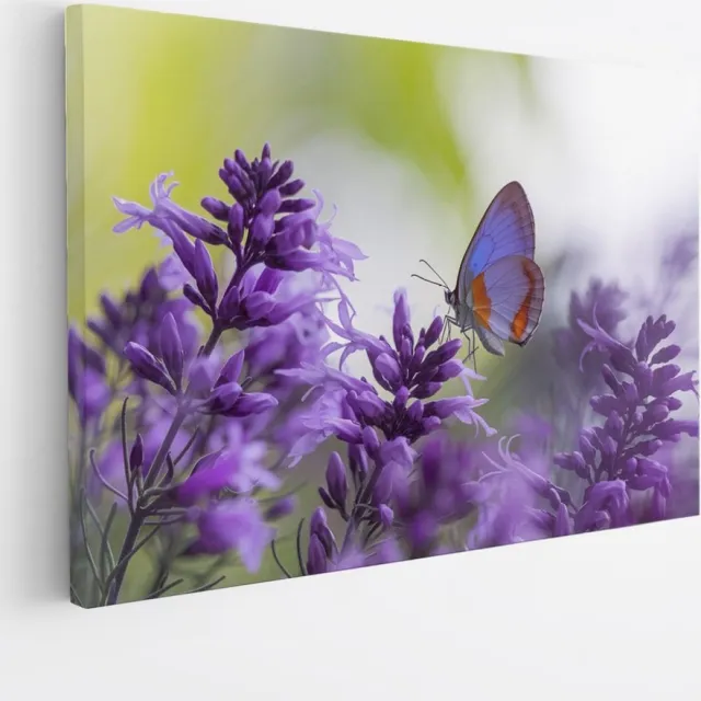 Saammp Canvas Schilderij - Vlinder bij lavendel - Bloemen - Dieren - Natuur - 90x60 - Foto op canvas - Wanddecoratie - muurdecoratie Woonkamer - Slaapkamer decoratie - Canvas Print Multicolor