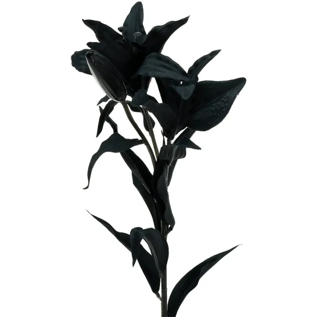 Viana Kunstbloem lelie zwart 84cm