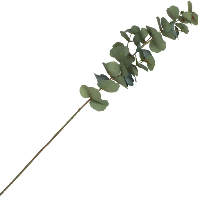 CHAKS Kunsttak Eucalyptus - 69 cm - kunst zijdebloemen - kunstplant - met knoppen Groen