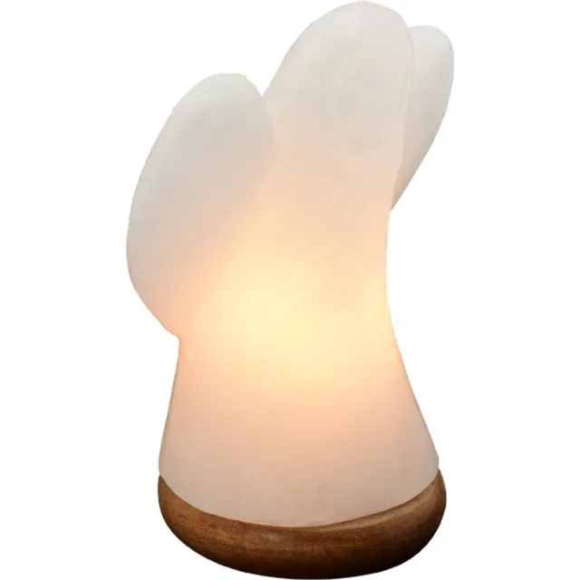 Himalaya Salt Dreams , ZoutLamp Engel op Houten voet, Wit, 46231, ca19 cm hoog