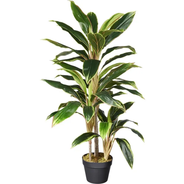 Kunstplant Cordyline breedbladig H100cm - HTT Decorations kunstplanten groen