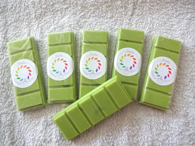 Linden Snapbar wax melts waxmelt parfum ALIEN - handgemaakt - 100% sojawax - aromatic - voor geurbrander - huisparfum groen