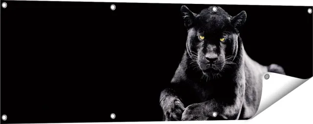 Gards Tuinposter Zwarte Panter - 120x40 cm - Tuindoek - Tuindecoratie - Wanddecoratie buiten - Tuinschilderij Multikleur