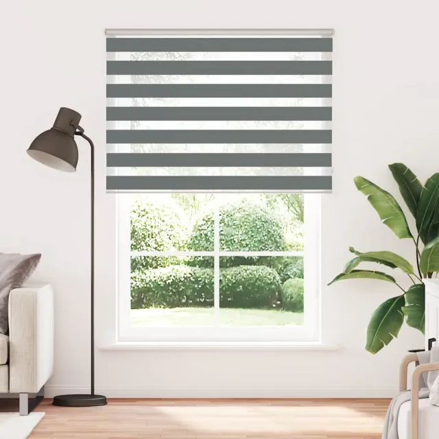 vidaXL Zebra rolgordijn 165x200 cm stofbreedte 160,9 cm donkergrijs