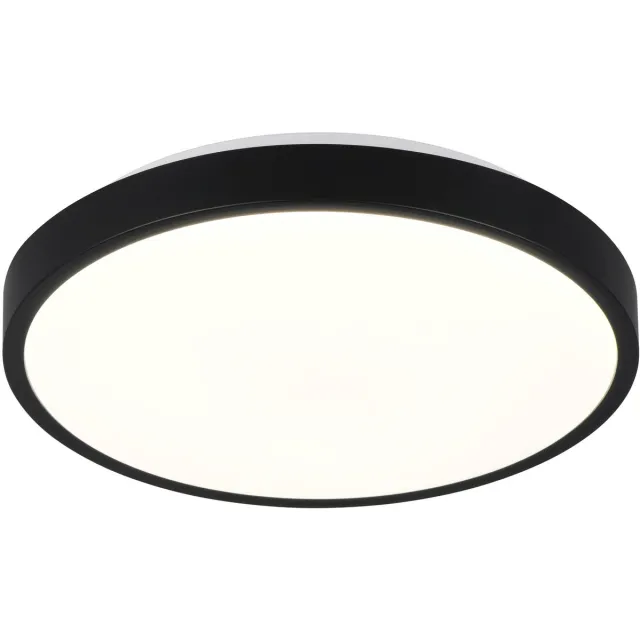 RL LIVE YOUR LIGHT REALITY SLOPE - Plafondlamp - Zwart mat - incl. 1x SMD 10,5 W - Wand- en plafondmontage
