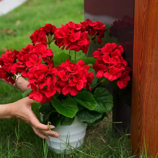HUAESIN kunstgeraniums, 38 cm, kunstmatige geraniumstruiken, voor buiten, rode geranium, kunstzijden bloemen, voor thuis, tuin, terras, balkon, hangende plantenbakken (2 stuks) Rood