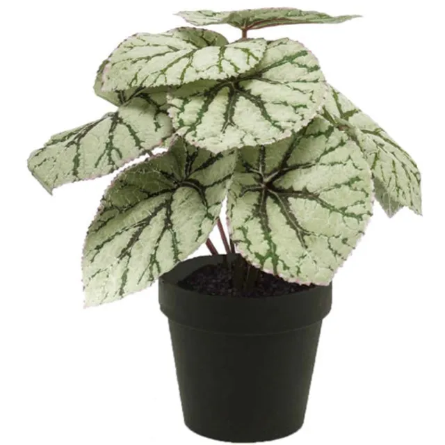 Emerald Kunstplant in pot Begonia grijs 25cm - Kunstplant voor binnen