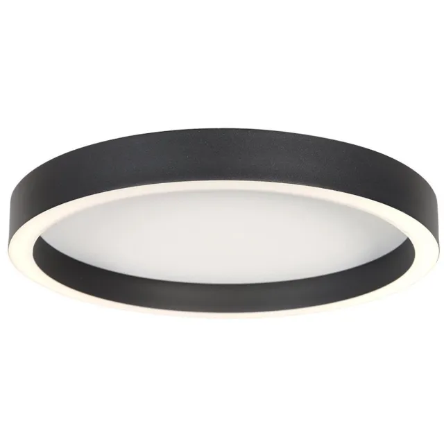 Steinhauer Zwarte plafondlamp Ringlux 4134ZW Ø30CM 2500 Lumen - Modern, kunststof/metaal, geschikt voor binnen - Steinhauer