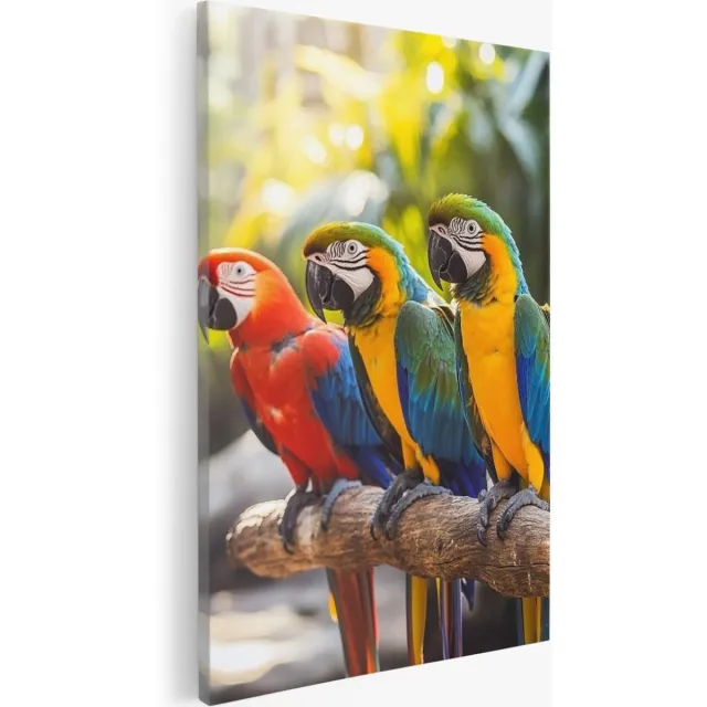 Saammp Canvas Schilderij - 3 Papegaaien - Dieren - Natuur - 30x40 - Foto op canvas - Wanddecoratie - Muurdecoratie Woonkamer - Slaapkamer decoratie - Canvas Print Multicolor