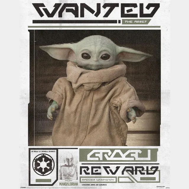 Star Wars The Mandalorian Grogu Wanted Poster 40x50cm Multi color