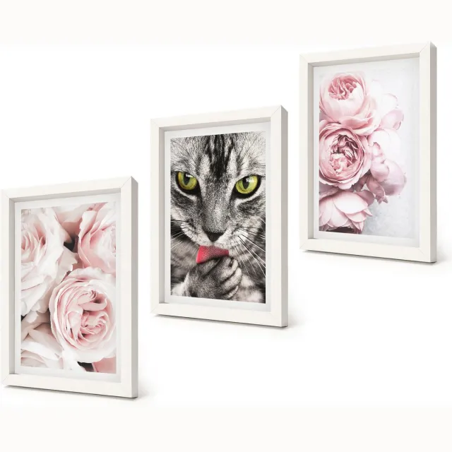 Coloray 3-Delige Schilderij Set - Kat tussen roze rozen en pioenrozen - 20x30 - Stijlvolle Muurdecoratie - Slaapkamer Witte lijst
