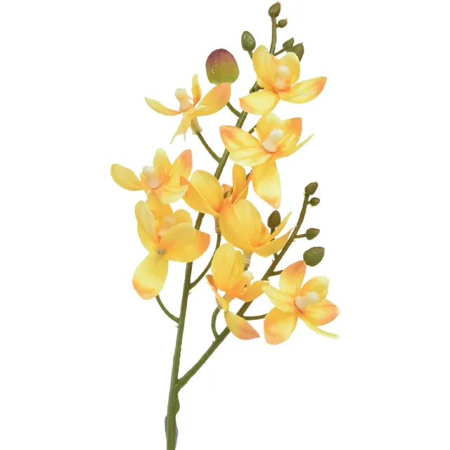 DPI GmbH Kleine orchidee Phalaenopsis kunstgeel 30cm