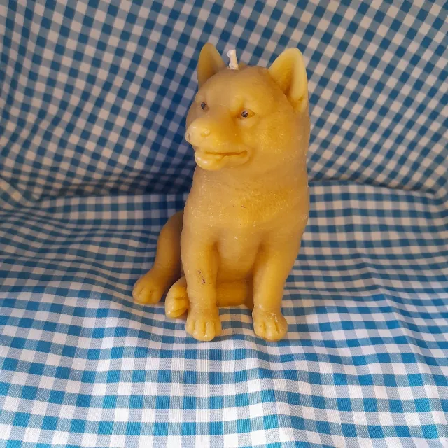 cailleagh's candles and gifts Bijenwas kaars, hond, Akita Inu geel