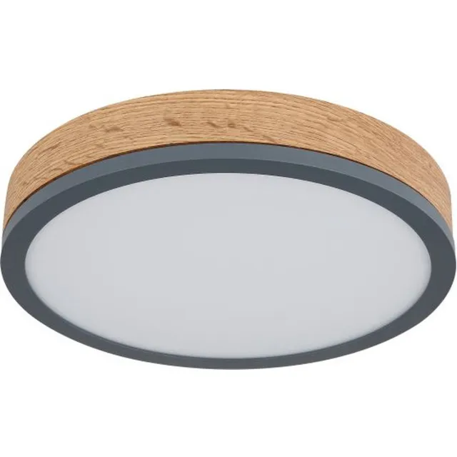 Globo plafonniere - Doro - grijs - metaal - Ø 30cm - LED - 416080WD1R