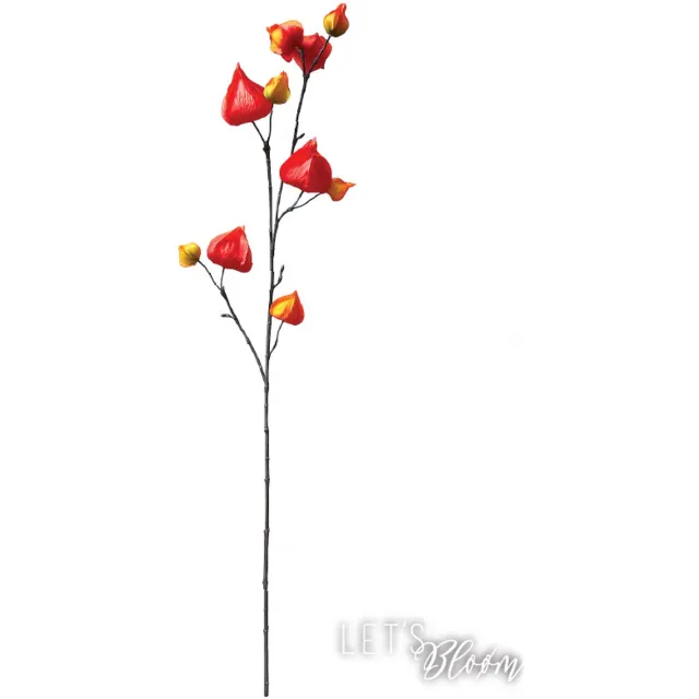 Dutch Dreams Flowers Let's Bloøm | Kunsttak Physalis Oranje - geel | 3 stuks | Zijden Lampion Bloem | Herfst | Zijde bloem | Kunstbloemen | Kunsttakken | 80cm | Lampion