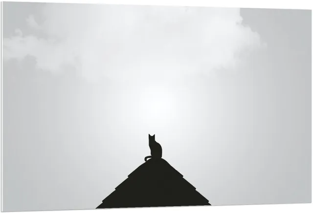 KuijsFotoprint Forex - Silhouette Kat op Piramide - 120x80cm Foto op Forex Wit
