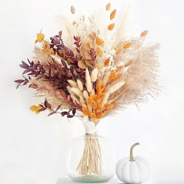 Ibenzoa Uitgebreid Bohemian Droogbloemen Set met Pampasgras en Eucalyptus voor Creatieve Decoraties wit