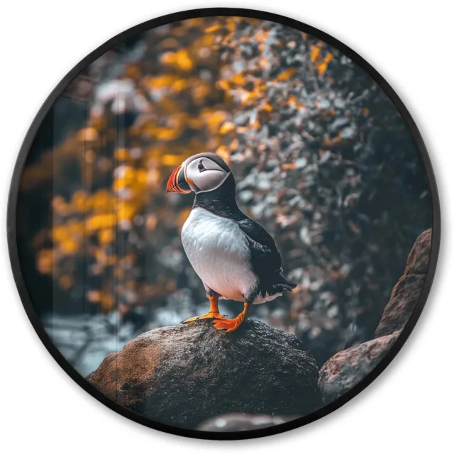 FrameYourWall Poster in lijst Rond - Fotolijst 80x80 cm - Posters - Papegaai - Vogel - Rots - Wit - Ronde posterlijst zwart - Decoratie - Wanddecoratie woonkamer - Muurdecoratie slaapkamer Papegaaiduiker
