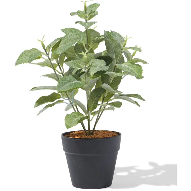 HEMA Kunstplant ⌀10x10cm rechtop (groen)