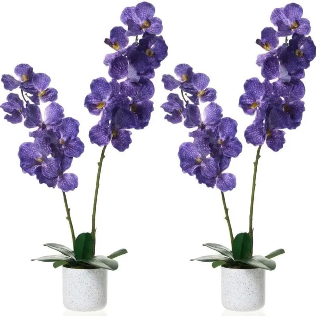 Triumpunpre Set van 2 kunstmatige magnolia's, 80 cm, hoogwaardige potplant, veelzijdige bloemdecoratie voor alle binnenruimtes. Paars 2x80cm