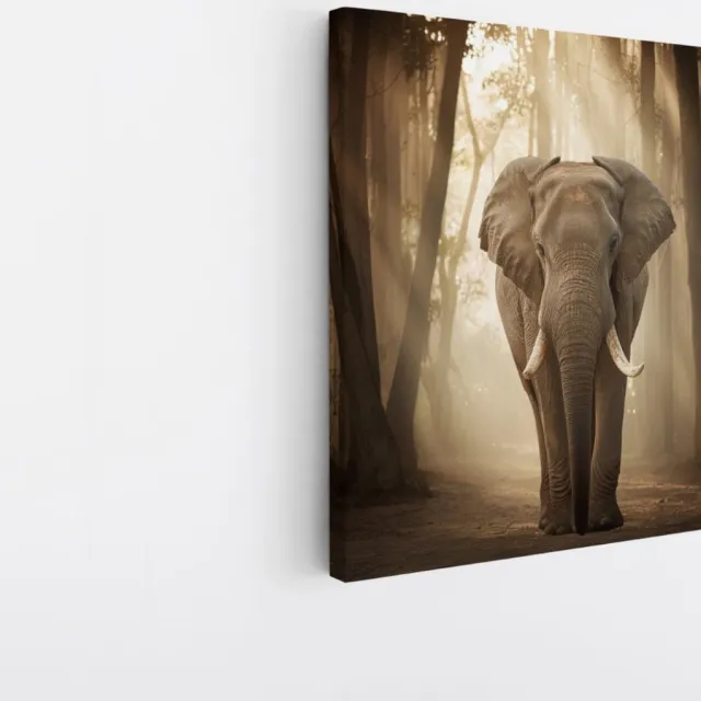 Saammp Canvas Schilderij - olifant in het Bos - Afrika - Dieren - 40x40 - Foto op canvas - Wanddecoratie - muurdecoratie Woonkamer - Slaapkamer decoratie - Canvas Print Multicolor