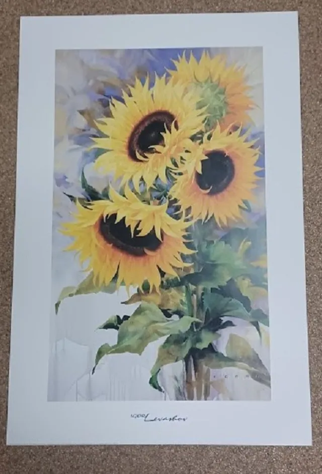 Verkerke poster Verkerke Igor Levashov - Sunrise 62 x 93 cm diverse kleuren