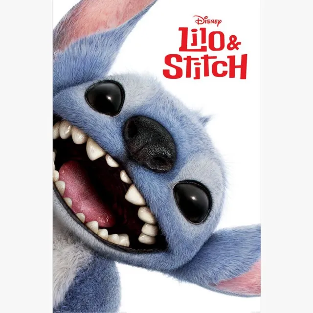 Lilo & Stitch Stitch Unisex Poster - meerkleurig - Standard multicolor