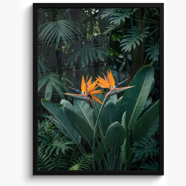 FrameYourWall Poster in lijst - Fotolijst 50x70 cm - Posters - Paradijsvogel - Bloem - Exotisch - Posterlijst zwart - Decoratie - Wanddecoratie woonkamer - Muurdecoratie slaapkamer
