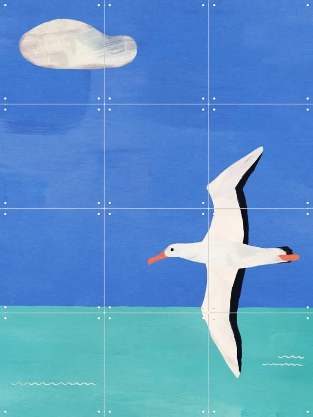 IXXI Albatross, Ocean and Cloud, Henry Rivers - 60 x 80 cm - Grote wanddecoratie en posters - Kleurrijk, Illustraties, Speels, Woonkamer, Vogels Blauw