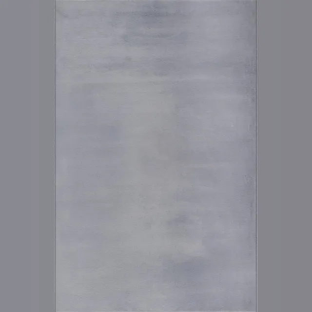the carpet , Cosy Vloerkleed, Knuffelzacht bontkleed, wasbaar, Grijs, 140x200 cm