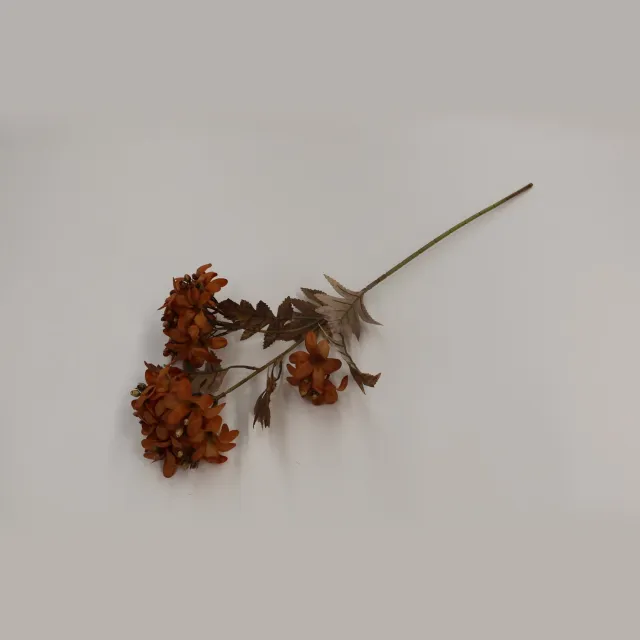 homebound by ky Kunstbloem Hortensia 76cm amber Oranje