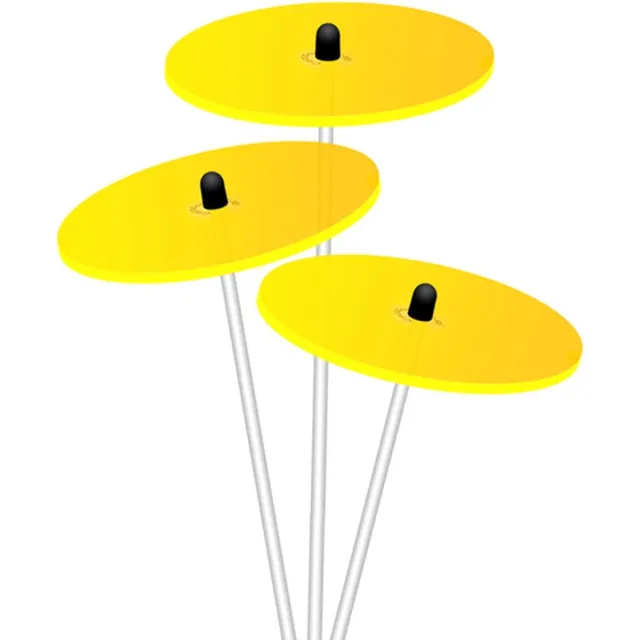 Cazador del Sol Zonnevangers Ø080mm x 26cm Geel Set3