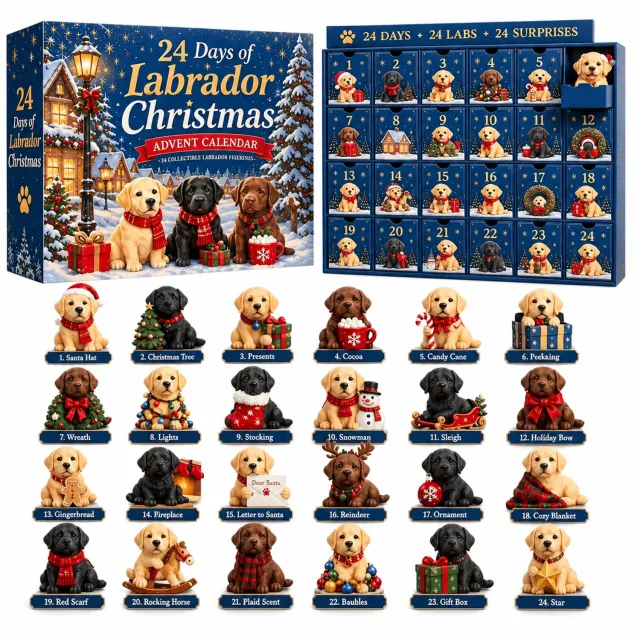 SWGOTA Adventskalender met labradors - 24 vakjes en 24 platte acryl decoraties - Kerstthema in kartonnen doos Blauw