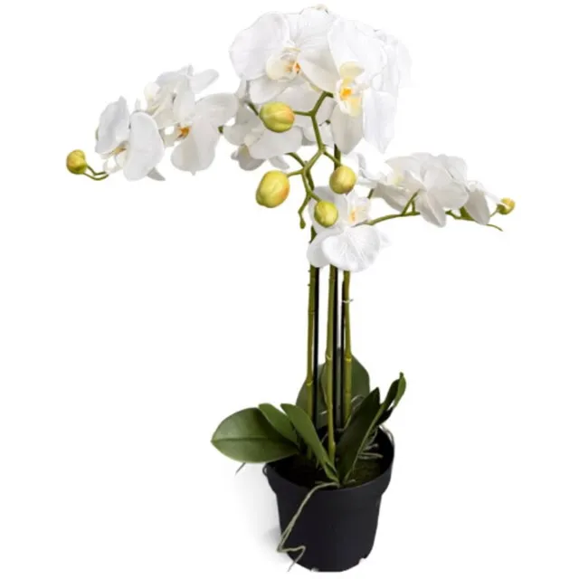 Oosterik Home Orchidee wit in pot H 60 cm kunstplant Oosterik Home onbekend