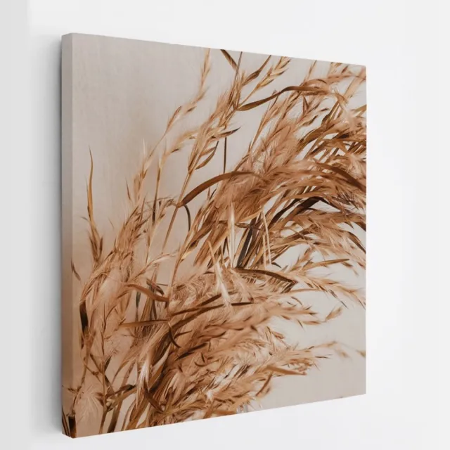 Saammp Canvas Schilderij - Sierlijke Pampasgrassen - Natuur - Abstract - 40x40 - Foto op canvas - Wanddecoratie - Muurdecoratie Woonkamer - Kantoor Decoratie multicolor