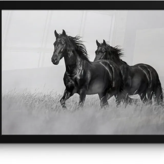 FrameYourWall Poster in lijst - Fotolijst 40x30 cm - Posters - Paarden - Gras - Zwart - Wit - Posterlijst zwart - Decoratie - Wanddecoratie woonkamer - Muurdecoratie slaapkamer