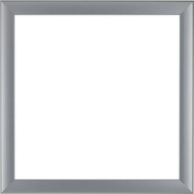 Dutch Frame Factory Fotolijst 45x45 cm - MDF - Zilver Mat - Colonia