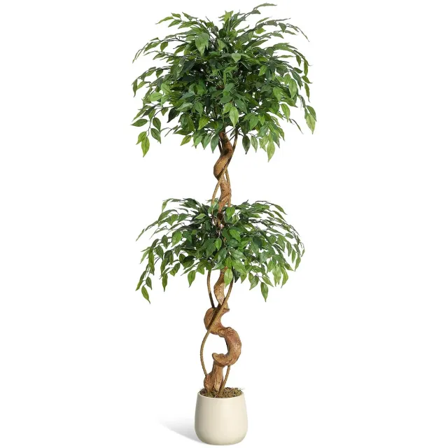 Veya Kunstplant Ficus - Kunstplanten voor binnen - Planten - Compleet pakket - In pot - Met kunstmos - 150cm h - Vormbare takken Groen