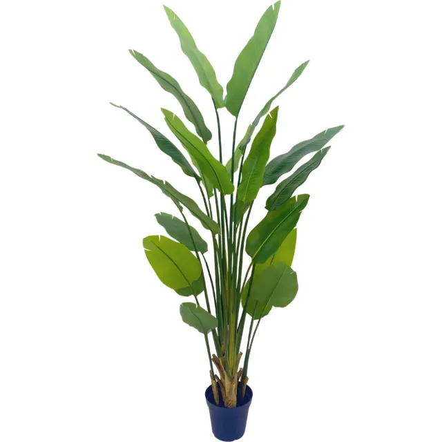 PrettyPlants Strelitzia Kunstplant 210cm Goud