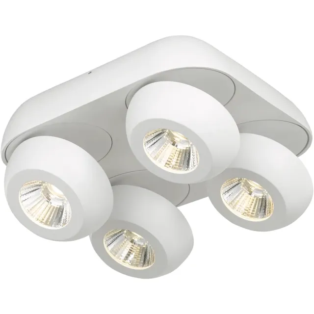 Fantasia Oleo Plafonier Dimbaar 4X7W Led 3000K Wit