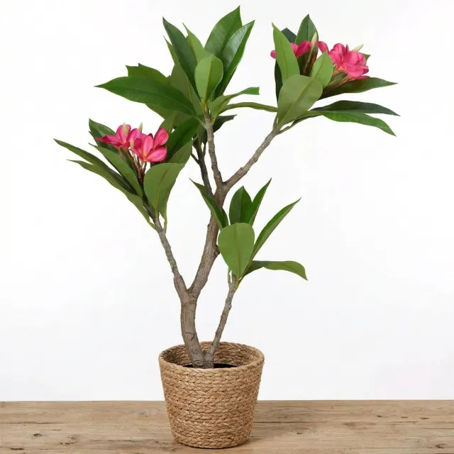 Cheqo Kunstplant Plumeria - Frangipani Nepplant - Kunstboom met Bloemen - Kunstbloem Roze Groen - Tropische Kamerplant - Levensecht voor Binnen in Pot - Sierplant - Decoratie voor Woonkamer Slaapkamer en Kantoor - Bloesem