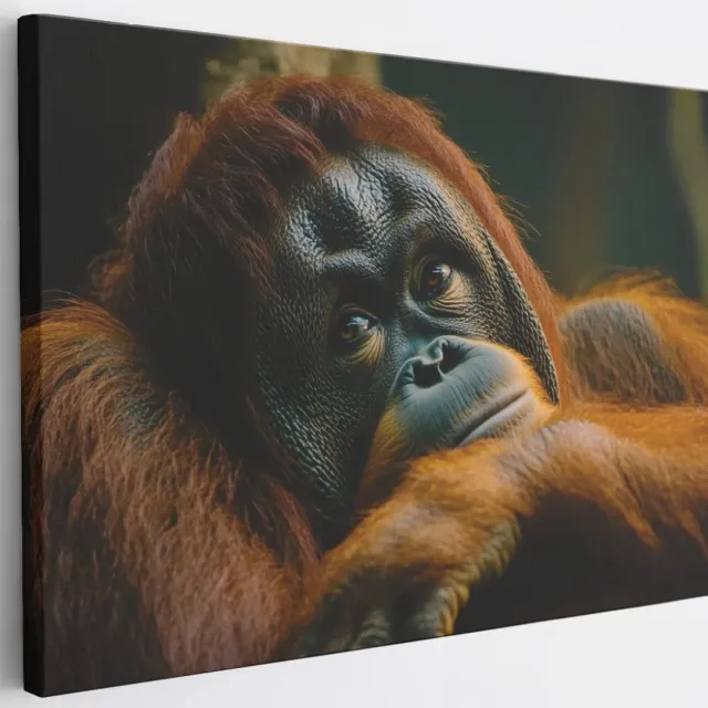 Saammp Canvas Schilderij - Orang oetan - Abstract - Dier - 30x20 - Foto op canvas - Wanddecoratie - Muurdecoratie Woonkamer - Slaapkamer decoratie - Canvas Print Multicolor