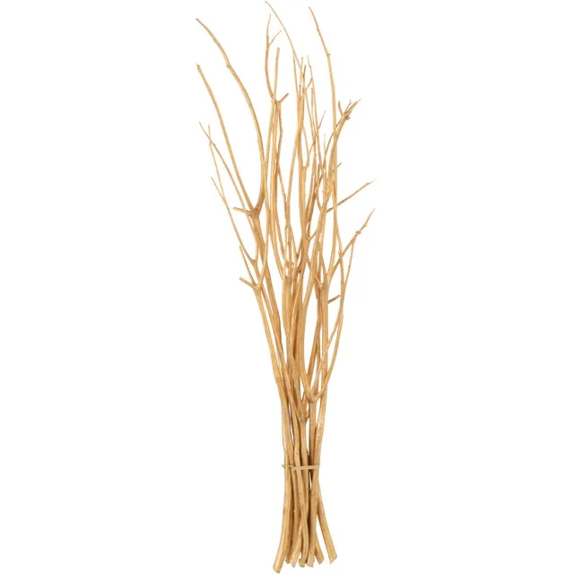 J-Line decoratie tak droogbloemen - riet - goud - small - 3 stuks