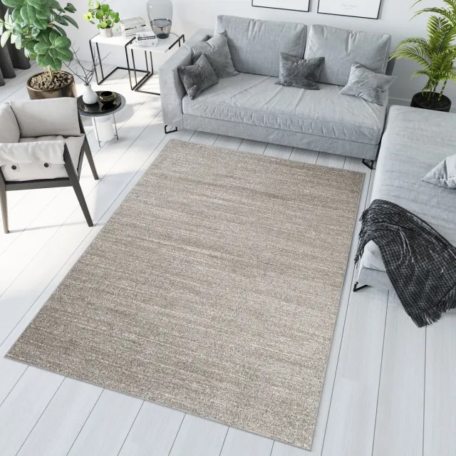 Tapiso Sari Vloerkleed Lichtgrijs Woonkamer Tapijt Maat- 80x150 Grijs 5